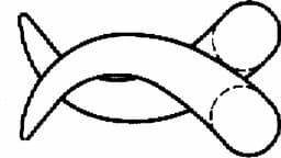 LINE DRAWING BV030R-Aesculap Article Picture (Media Manager)