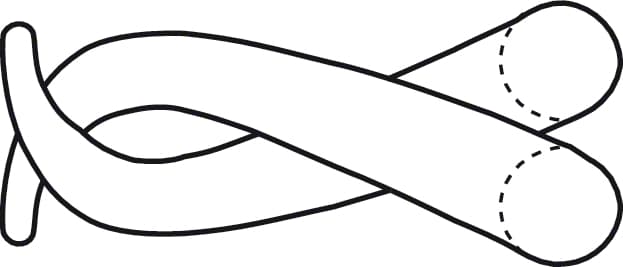 LINE DRAWING BV033R-Aesculap Article Picture (Media Manager)