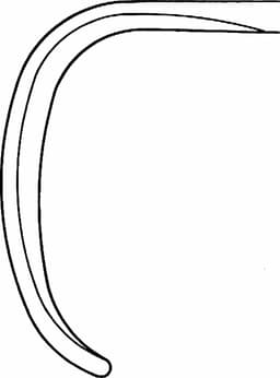 LINE DRAWING BT459R, BG-490-01-P-Aesculap Article Picture (Media Manager)