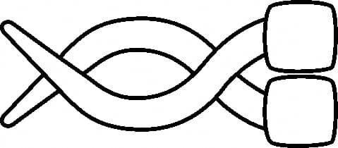 LINE DRAWING BV013R, HC-155-01-G-Aesculap Article Picture (Media Manager)