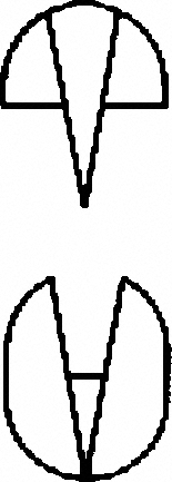 LINE DRAWING BH646R-Aesculap Article Picture (Media Manager)